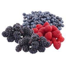 Frambozen, bramen of blauwe bessen